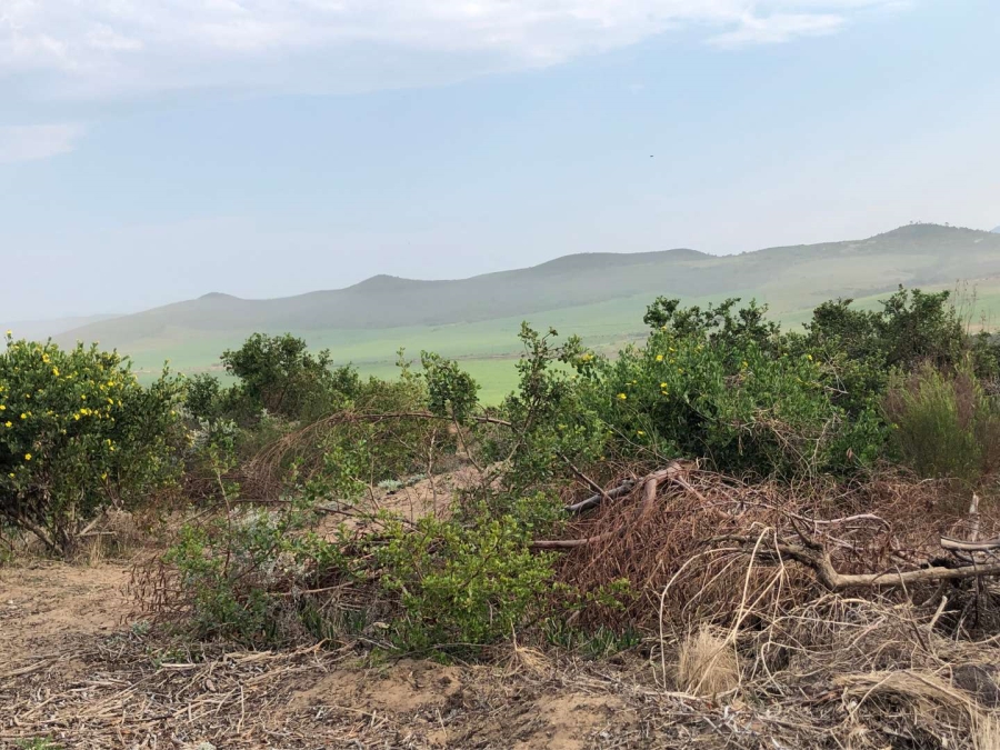 0 Bedroom Property for Sale in Reebok Western Cape